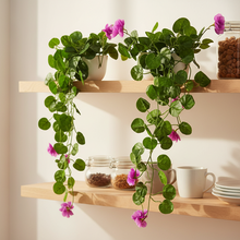 Artificial Flower Vine Plant Falling with Pot : Pack of 2 (Natural Touch & Feel)| Home D‚cor with Small Size Pot |plant hanging for Home Decor | Office Decor | Size 45 X 17 X 7 CM | 8163