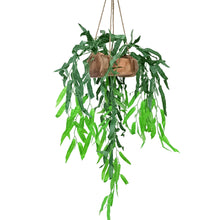 Artificial Willow Hanging in Wood Pot (Height 75 cm)