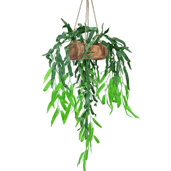 Artificial Willow Hanging in Wood Pot (Height 75 cm)