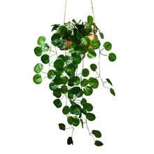 Artificial Leaves Hanging in Wood Pot (Height 60 cm)