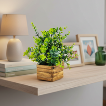 Artificial Plant Eucalyptus Leaves in Wooden Pot Perfect Potted Decoration for Home Living Room & Office Spaces Height - 29cm?