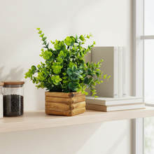 Artificial Plant Eucalyptus Leaves in Wooden Pot Perfect Potted Decoration for Home Living Room & Office Spaces Height - 29cm?
