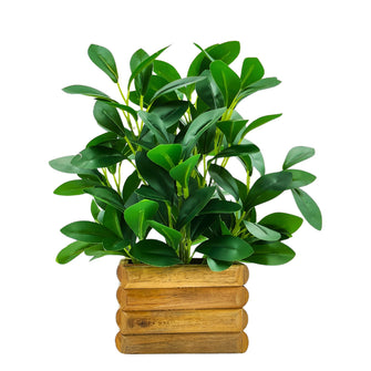 Artificial Rubber Plant in Wooden Pot Perfect Potted Decoration for Home Living Room & Office Spaces Height - 28cm?