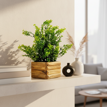 Artificial Gardenia Plant in Wooden Pot Perfect Potted Decoration for Home Living Room & Office Spaces Height - 27cm?