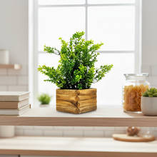 Artificial Gardenia Plant in Wooden Pot Perfect Potted Decoration for Home Living Room & Office Spaces Height - 27cm?