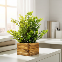 Artificial Gardenia Plant in Wooden Pot Perfect Potted Decoration for Home Living Room & Office Spaces Height - 27cm?