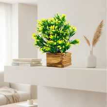 Artificial Plant Euphorbia in Wooden Pot Perfect Potted Decoration for Home Living Room &amp; Office Spaces Height - 29cm