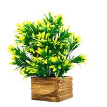 Artificial Plant Euphorbia in Wooden Pot Perfect Potted Decoration for Home Living Room & Office Spaces Height - 29cm?