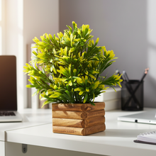 Artificial Plant Euphorbia in Wooden Pot Perfect Potted Decoration for Home Living Room &amp; Office Spaces Height - 29cm