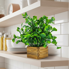 Artificial Water Plant in Wooden Pot Perfect Potted Decoration for Home Living Room &amp; Office Spaces Height - 29cm