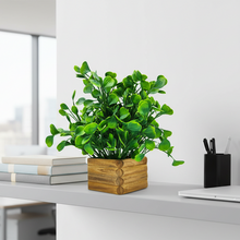 Artificial Water Plant in Wooden Pot Perfect Potted Decoration for Home Living Room &amp; Office Spaces Height - 29cm