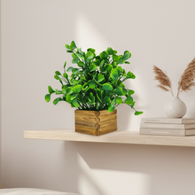 Artificial Water Plant in Wooden Pot Perfect Potted Decoration for Home Living Room &amp; Office Spaces Height - 29cm