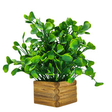 Artificial Water Plant in Wooden Pot Perfect Potted Decoration for Home Living Room & Office Spaces Height - 29cm?