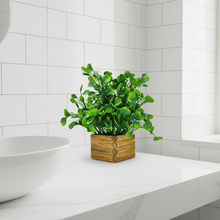Artificial Water Plant in Wooden Pot Perfect Potted Decoration for Home Living Room &amp; Office Spaces Height - 29cm