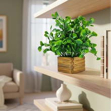 Artificial Water Plant in Wooden Pot Perfect Potted Decoration for Home Living Room &amp; Office Spaces Height - 29cm