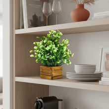 fancymart Artificial White Water Plant in Wooden Pot Perfect Potted Decoration for Home Living Room & Office Spaces Height - 29cm