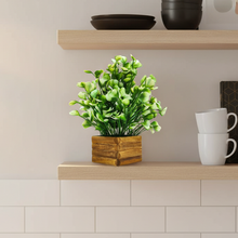fancymart Artificial White Water Plant in Wooden Pot Perfect Potted Decoration for Home Living Room & Office Spaces Height - 29cm