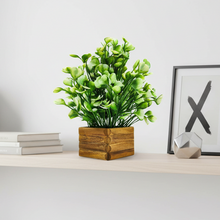 fancymart Artificial White Water Plant in Wooden Pot Perfect Potted Decoration for Home Living Room & Office Spaces Height - 29cm
