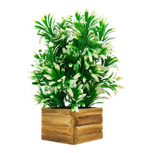 Artificial Plant White Euphorbia in Wooden Pot  Perfect Potted Decoration for Home Living Room & Office Spaces Height - 29cm?