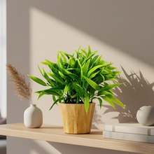 Artificial Plant Leaves in Small Wood Pot (Height 20 cm)