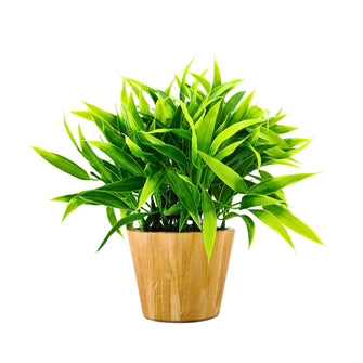 Artificial Plant Leaves in Small Wood Pot (Height 20 cm)