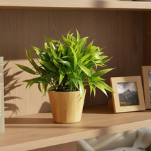 Artificial Plant Leaves in Small Wood Pot (Height 20 cm)