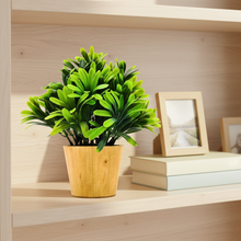 Artificial Euphorbia Green in Small Wood Pot (Height 20 cm)