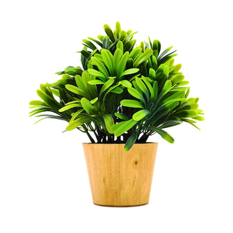 Artificial Euphorbia Green in Small Wood Pot (Height 20 cm)