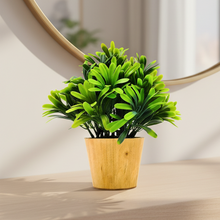 Artificial Euphorbia Green in Small Wood Pot (Height 20 cm)