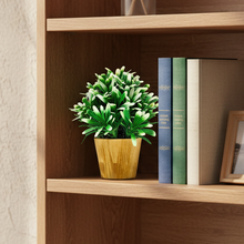 Artificial Euphorbia White in Small Wood Pot (Height 20 cm)