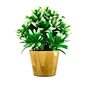 Artificial Euphorbia White in Small Wood Pot (Height 20 cm)