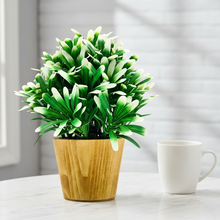 Artificial Euphorbia White in Small Wood Pot (Height 20 cm)
