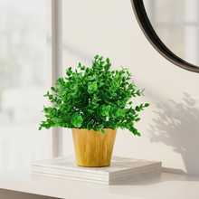 Artificial Hackleberry Green Leaves in Small Wood Pot (Height 20 cm)