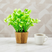 Artificial Water Plant Leaves in Small Wood Pot (Height 20 cm)