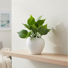Artificial Plant Leaves in Apple Pot (Height 20 cm)