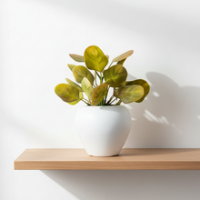 Artificial Plant Leaves in Apple Pot (Height 20 cm)