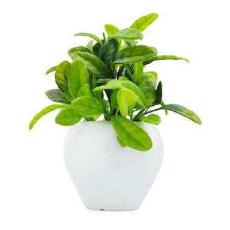 Artificial Plant Leaves in Apple Pot (Height 20 cm)