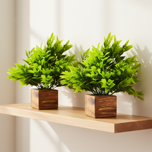 Artificial Plant Leaves with Wooden Pot - Set of 2 for Indoor Home Office D‚cor: Realistic, Easy to Maintain Faux Desk Plant