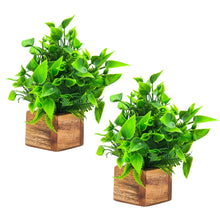 Artificial Plant Leaves with Wooden Pot - Set of 2 for Indoor Home Office D‚cor: Realistic, Easy to Maintain Faux Desk Plant