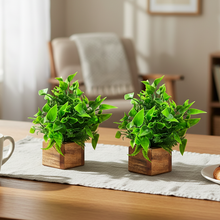 Artificial Plant Leaves with Wooden Pot - Set of 2 for Indoor Home Office D‚cor: Realistic, Easy to Maintain Faux Desk Plant