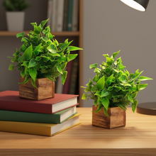 Artificial Plant Leaves with Wooden Pot - Set of 2 for Indoor Home Office D‚cor: Realistic, Easy to Maintain Faux Desk Plant