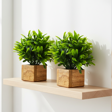 Artificial Plant Leaves with Wooden Pot - Set of 2 for Indoor Home Office D‚cor: Realistic, Easy to Maintain Faux Desk Plant