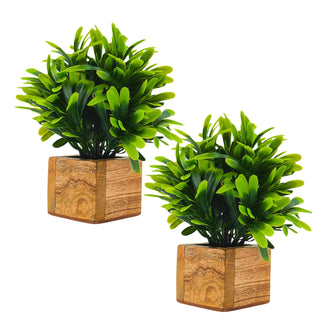 Artificial Plant Leaves with Wooden Pot - Set of 2 for Indoor Home Office D‚cor: Realistic, Easy to Maintain Faux Desk Plant