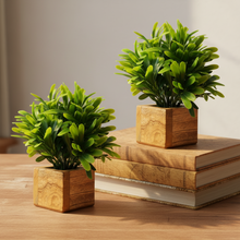 Artificial Plant Leaves with Wooden Pot - Set of 2 for Indoor Home Office D‚cor: Realistic, Easy to Maintain Faux Desk Plant
