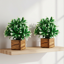 Artificial Plant Leaves with Wooden Pot - Set of 2 for Indoor Home Office D‚cor: Realistic, Easy to Maintain Faux Desk Plant