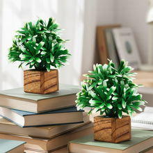 Artificial Plant Leaves with Wooden Pot - Set of 2 for Indoor Home Office D‚cor: Realistic, Easy to Maintain Faux Desk Plant