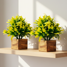 Artificial Plant Leaves with Wooden Pot - Set of 2 for Indoor Home Office D‚cor: Realistic, Easy to Maintain Faux Desk Plant