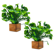 Artificial Plant Leaves with Wooden Pot - Set of 2 for Indoor Home Office D‚cor: Realistic, Easy to Maintain Faux Desk Plant