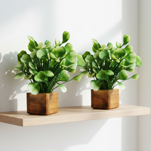 Artificial Plant Leaves with Wooden Pot - Set of 2 for Indoor Home Office D‚cor: Realistic, Easy to Maintain Faux Desk Plant