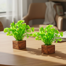 Artificial Plant Leaves with Wooden Pot - Set of 2 for Indoor Home Office D‚cor: Realistic, Easy to Maintain Faux Desk Plant